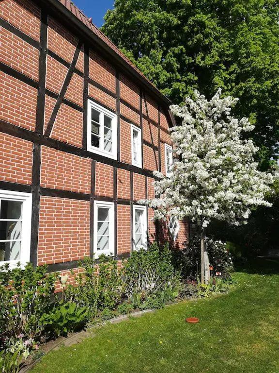 Apartment In Ruhiger Wohnlage Sie Sind In 3 Minuten Am Trebbower See Oder In 30 Minuten An Der Ostsee Klein Trebbow Eksteriør billede